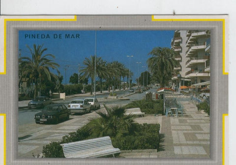 Postal 7065 : Pineda de Mar: vistas
