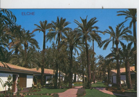 Postal 7076 : Elche, Hotel huerto del cura