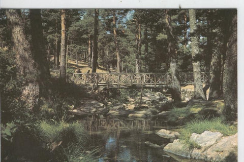 Postal 7207 : San Rafael, Puente de los Ingenieros