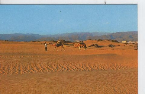 Postal 7240 : Gran Canaria, Dunas de Maspalomas