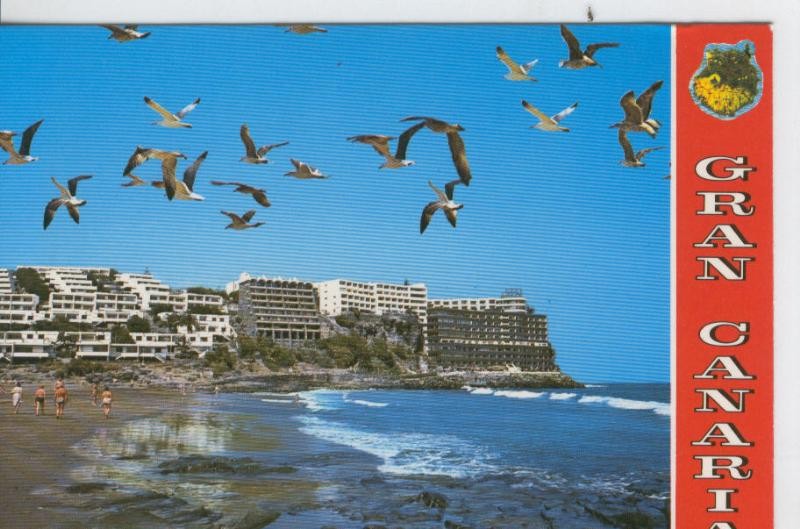 Postal 7247 : Gran Canaria, San Agustin