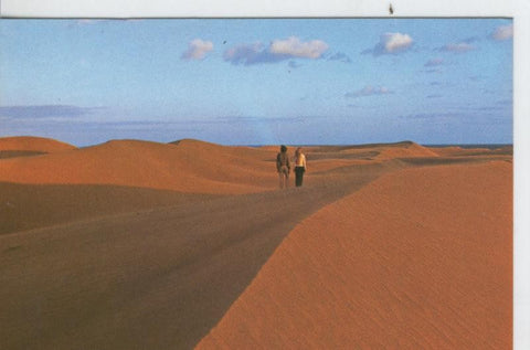 Postal 7248 : Gran Canaria, Dunas de Maspalomas