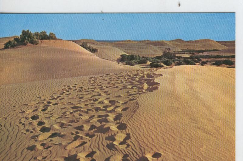 Postal 7249 : Gran Canaria, Dunas de Maspalomas