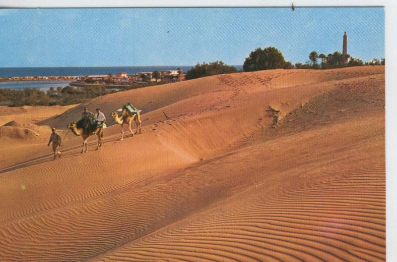 Postal 7250 : Gran Canaria, Dunas de Maspalomas