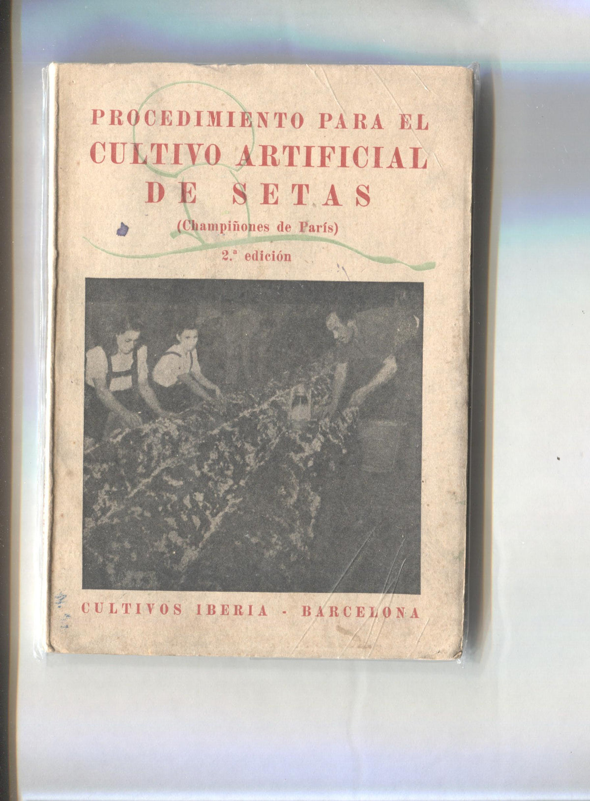 Procedimientos para el cultivo artificial de setas (Champiñones de Paris )