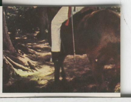 Cromos Sandokan de Panini numero 266