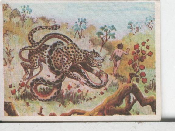 Cromos: Aventuras de Jorge, el Pequeño Tarzan, autor Gigarpe numero 020