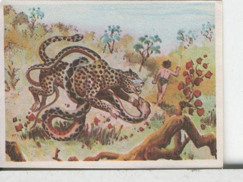 Cromos: Aventuras de Jorge, el Pequeño Tarzan, autor Gigarpe numero 020