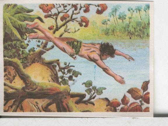 Cromos: Aventuras de Jorge, el Pequeño Tarzan, autor Gigarpe numero 028