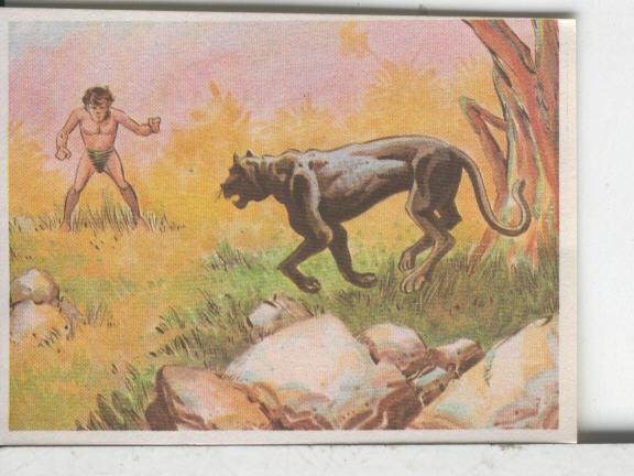 Cromos: Aventuras de Jorge, el Pequeño Tarzan, autor Gigarpe numero 076