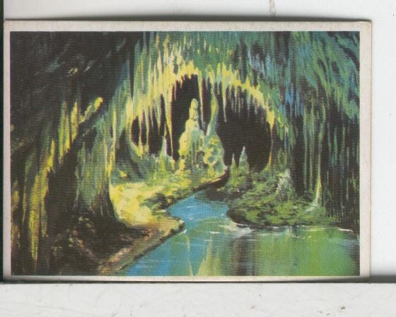 Cromos Dunkin: Espeleologia numero 11