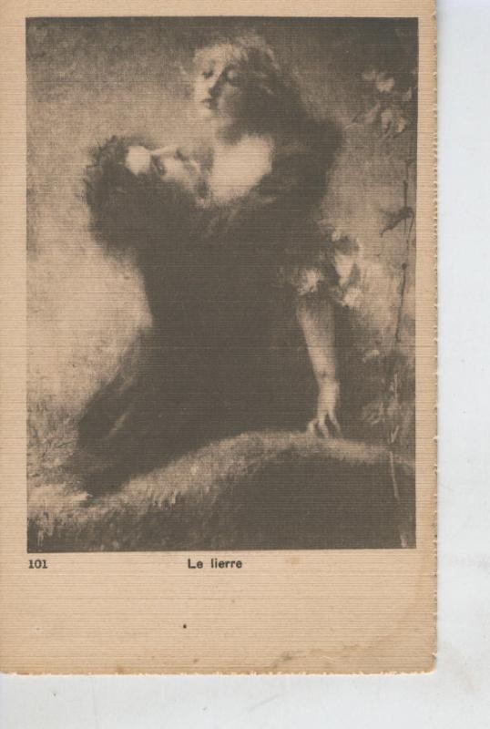 Postal B/N 0456 : Le lierre