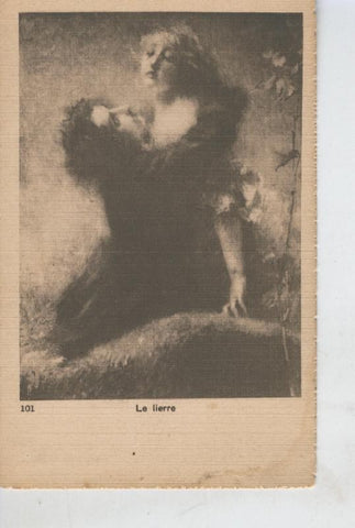 Postal B/N 0456 : Le lierre