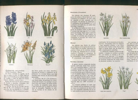 El libro del jardin y de la terraza