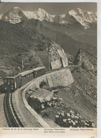 Berner Oberland: Chemin de fer de la Schynige Platte