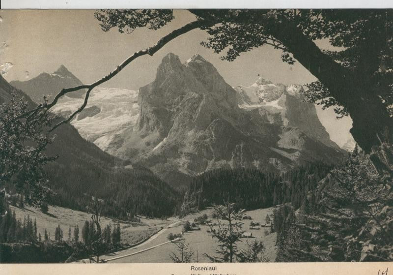 Berner Oberland: Rosenlaui