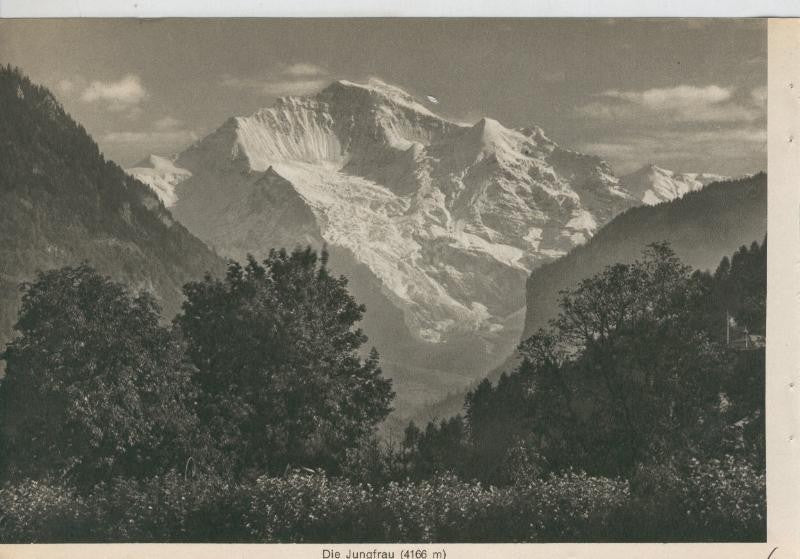 Berner Oberland: Die Jungfrau