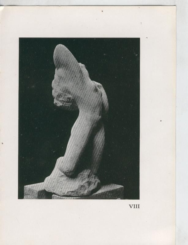 Gijs Jacobs van den Hof door Theo Van Reijn, lamina VIII