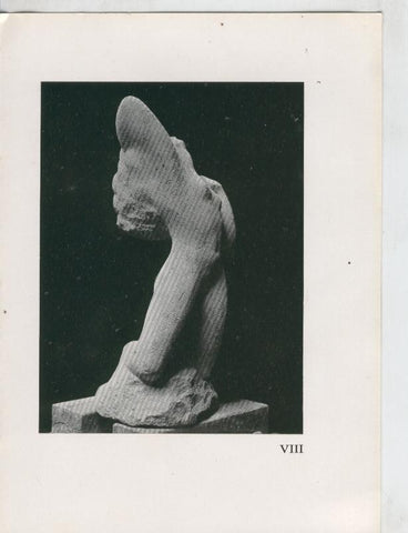 Gijs Jacobs van den Hof door Theo Van Reijn, lamina VIII