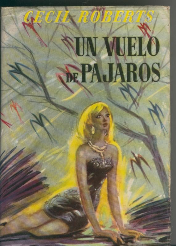 Un vuelo de pajaros