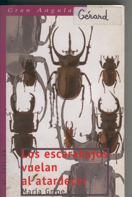 Los escarabajos vuelan al atardecer