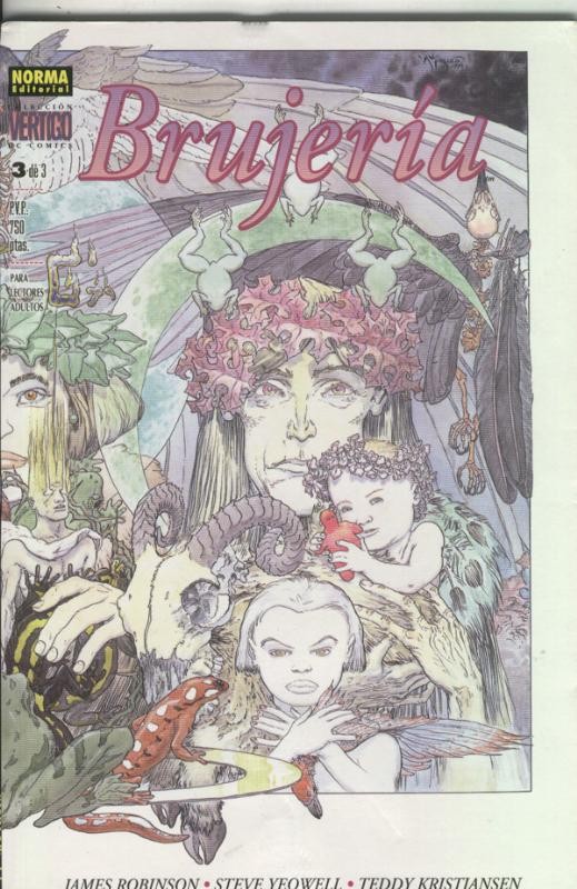 Norma: Coleccion Vertigo numero 098: Brujeria numero 3