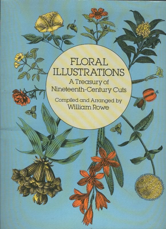 Floral Illustrations