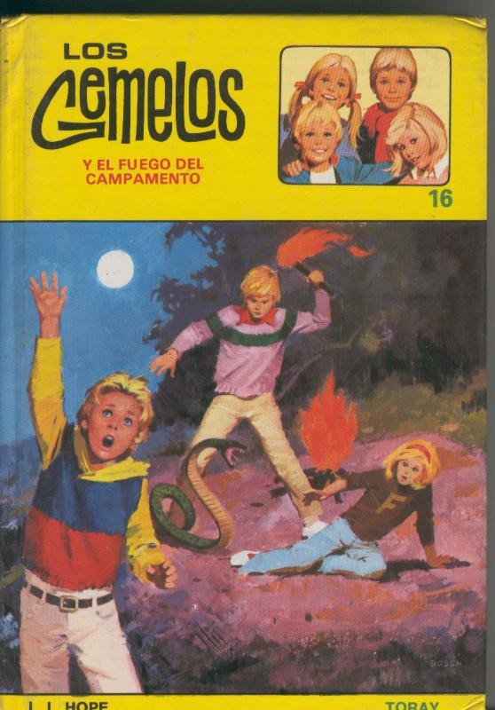 Los gemelos y el fuego del campamento
