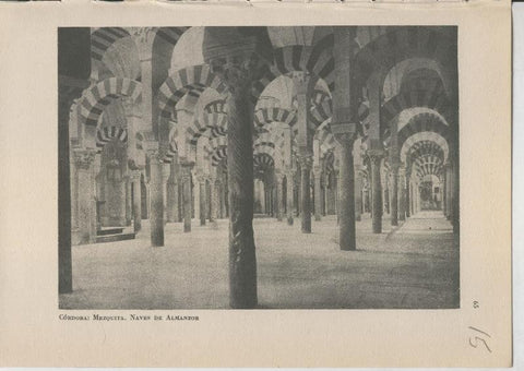 Arte Hispanico lamina numerada 015: Naves de Almanzor de la Mezquita de Cordoba