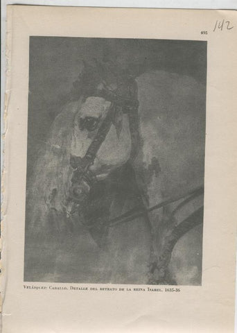 Arte Hispanico lamina numerada 142: Velazquez: Detalle de Caballo cuadro Reina Isabel