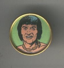 Pins: Arizona: Indio Swoter