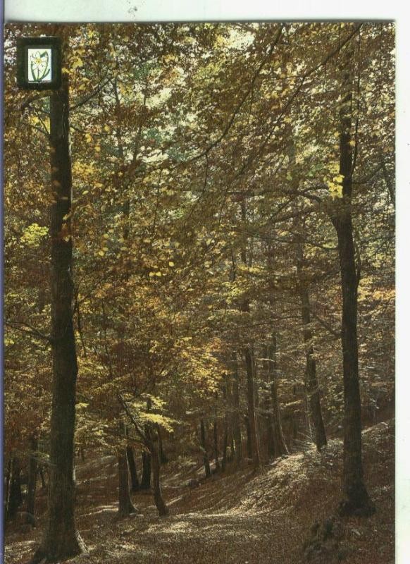 Postal 002549: Paisajes de Montaña numero 29