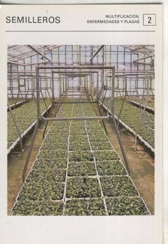 Postal 000543: Ficha Jardineria numero 02: Semilleros