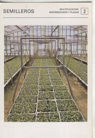 Postal 000543: Ficha Jardineria numero 02: Semilleros
