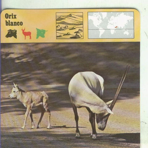 Postal 002625: Ficha Sape Coleccionable: Orik blanco