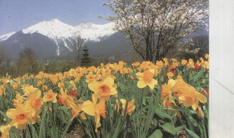 Postal 001262: Naturaleza en Alemania