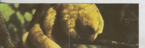 Cromos: La Naturaleza y sus maravillas numero 056/057