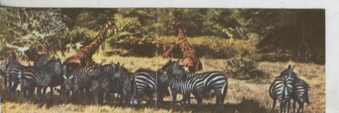 Cromos: La Naturaleza y sus maravillas numero 131/132