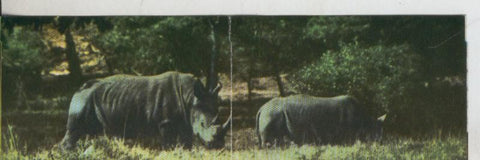 Cromos: La Naturaleza y sus maravillas numero 173/174