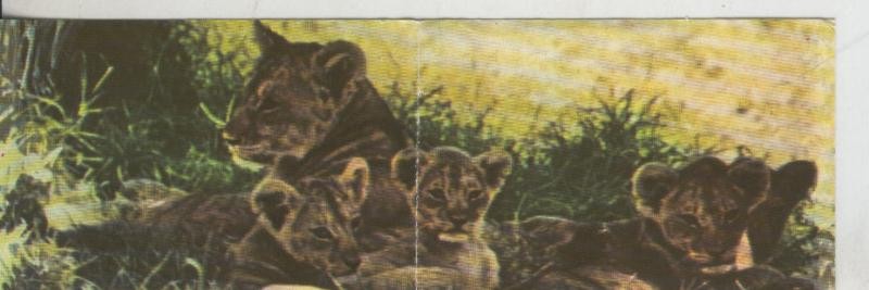 Cromos: La Naturaleza y sus maravillas numero 194/195