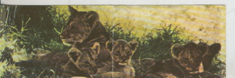 Cromos: La Naturaleza y sus maravillas numero 194/195