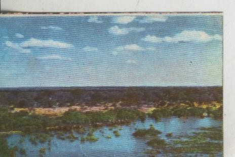 Cromos: La Naturaleza y sus maravillas numero 186