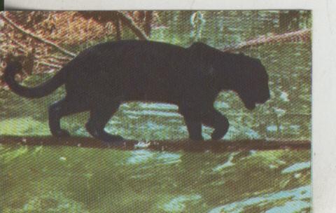 Cromos: La Naturaleza y sus maravillas numero 015