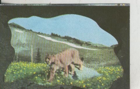 Cromos: La Naturaleza y sus maravillas numero 012