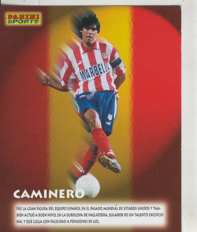 Ficha Postal Panini Sport: Caminero