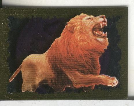 Cromos: Narnia letra L