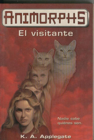 El visitante