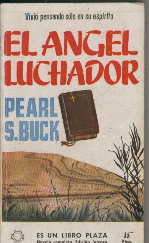 Libro Plaza: El angel luchador