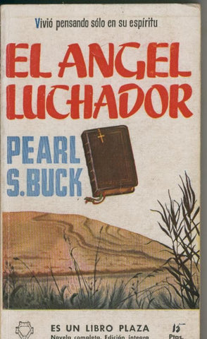 Libro Plaza: El angel luchador
