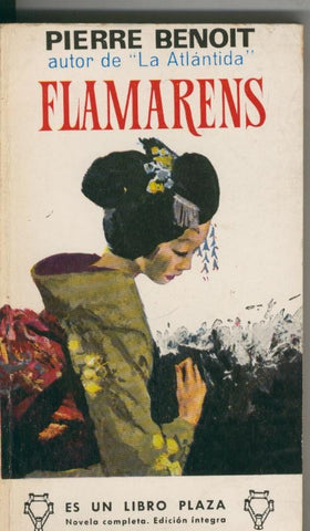 Libro Plaza: Flamarens